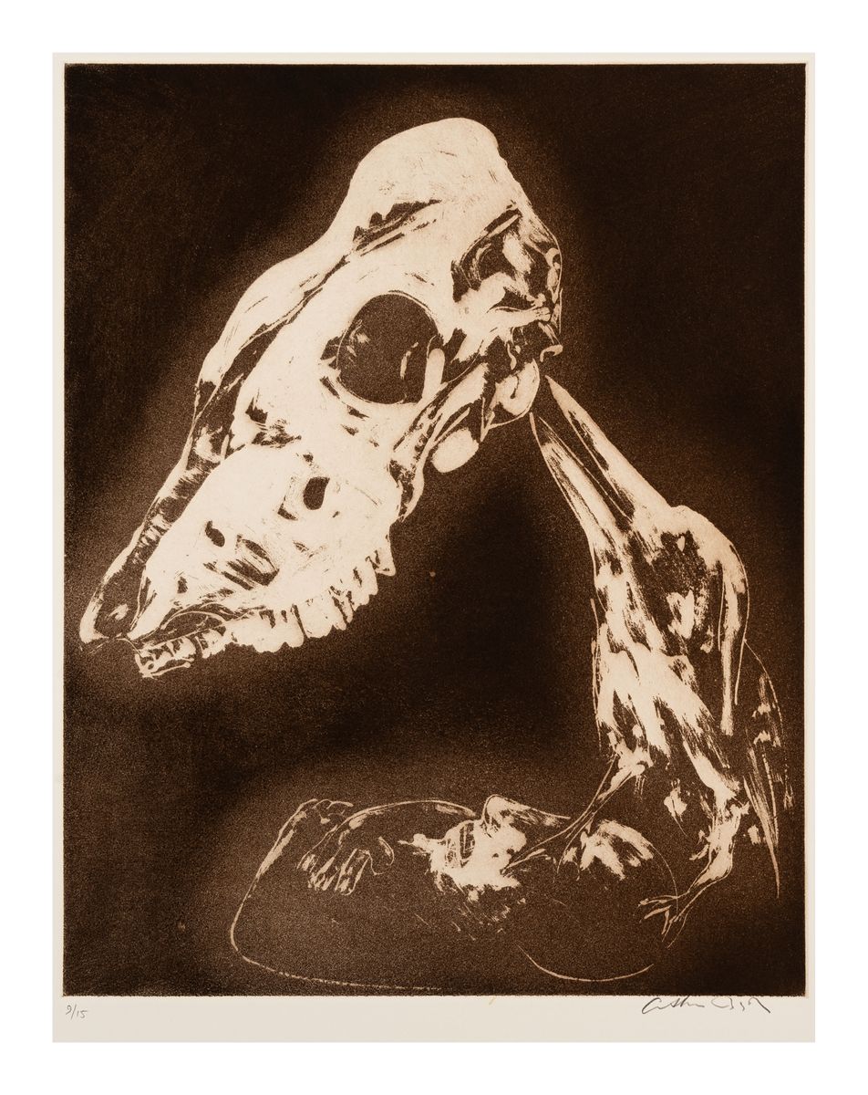 Image of Narcissus, kookaburra and skull in brown