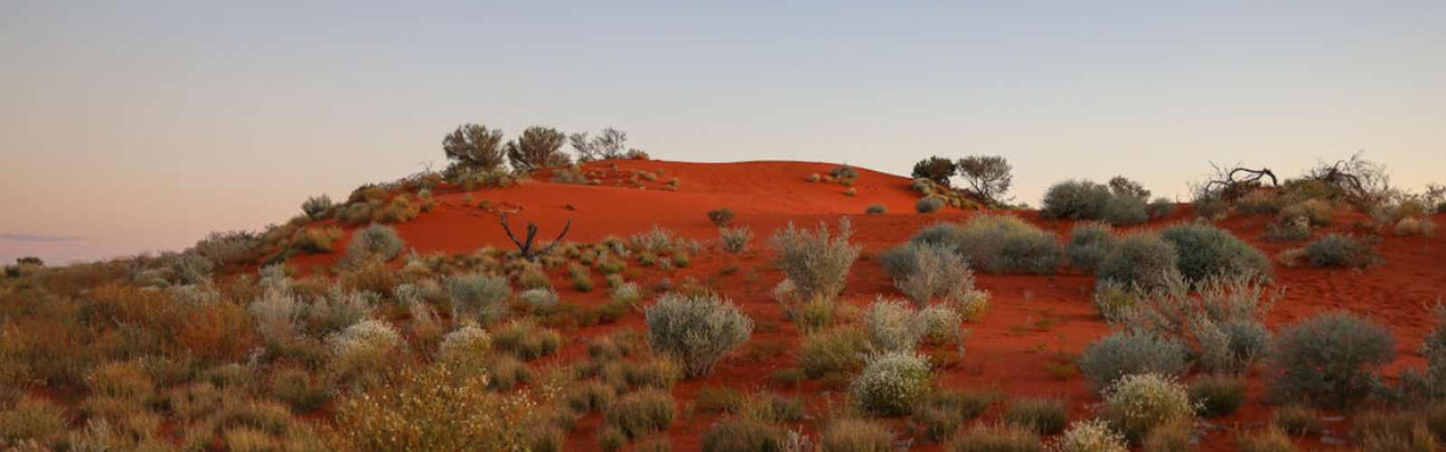 Western Queensland Primary Health Network (WQPHN) 