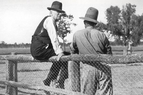 Jimmy Darcy grave