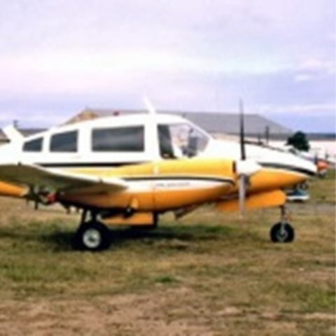Beagle B206