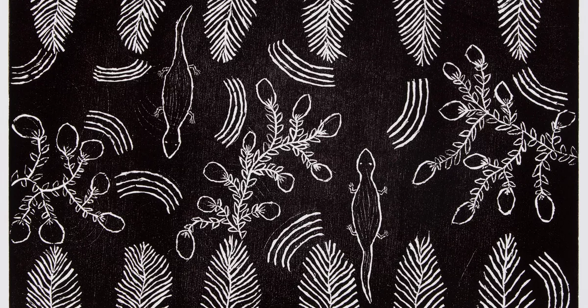 Untitled - AGSA Collection
