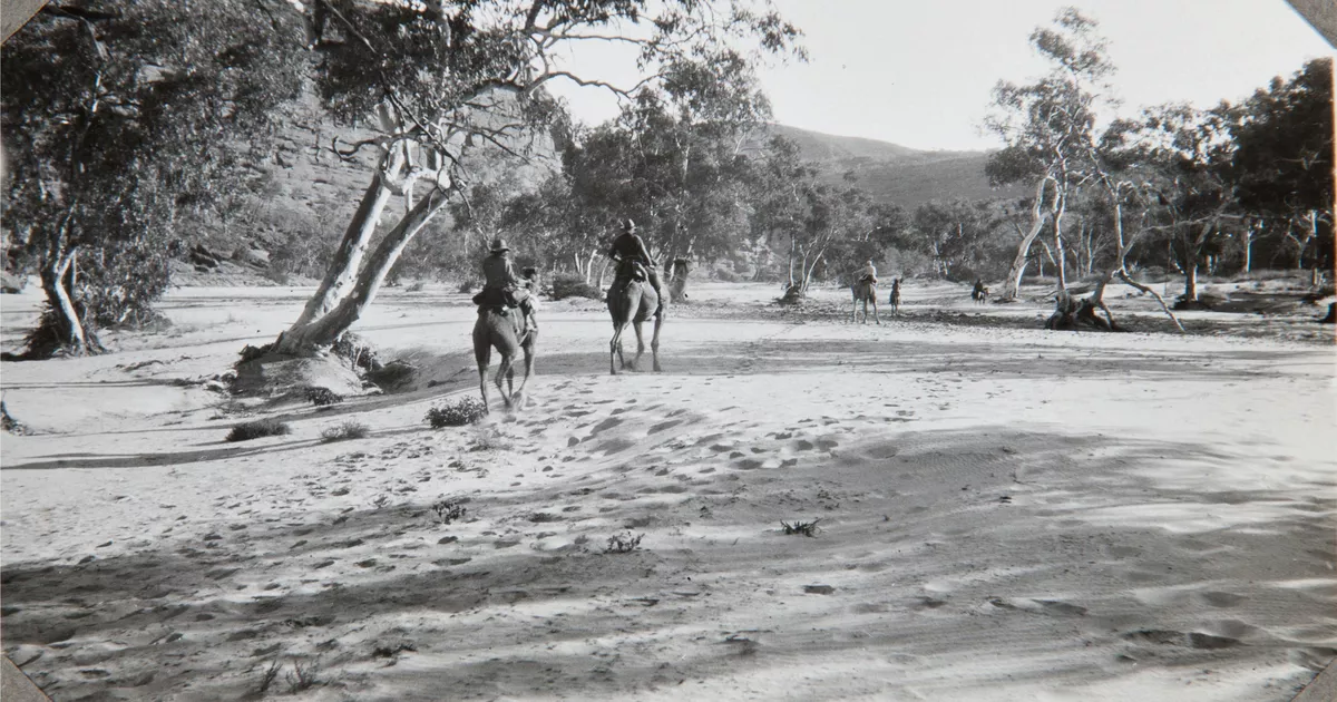 Camel riders in Finke Gorge - AGSA Collection