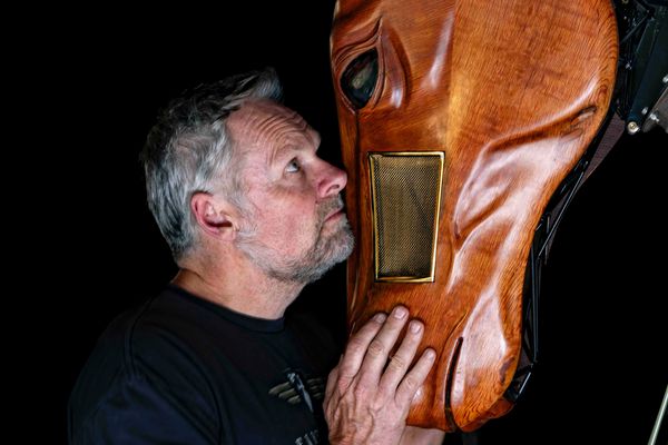 Darcy's Horse 