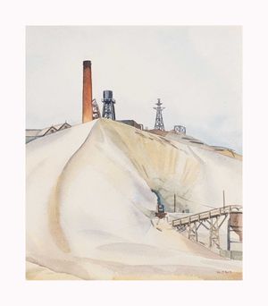 Image of Chimney over the skimps