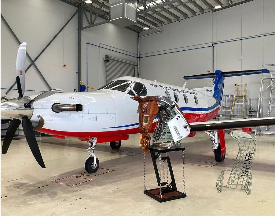 Darcy's Horse x RFDS 