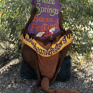 Photo of a handmade kangaroo holding a sign saying "Alice Springs Beanie Festival"