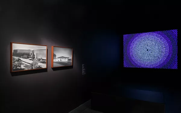 installation view: Ways of seeing featuring Untitled by David Noonan and In the beyond by Grant Stevens, Art Gallery of South Australia, Adelaide, 2019; photo: Saul Steed.