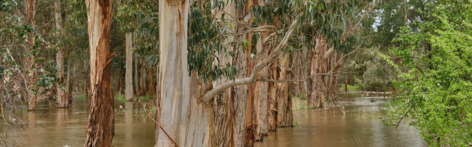 Flooding in rural area