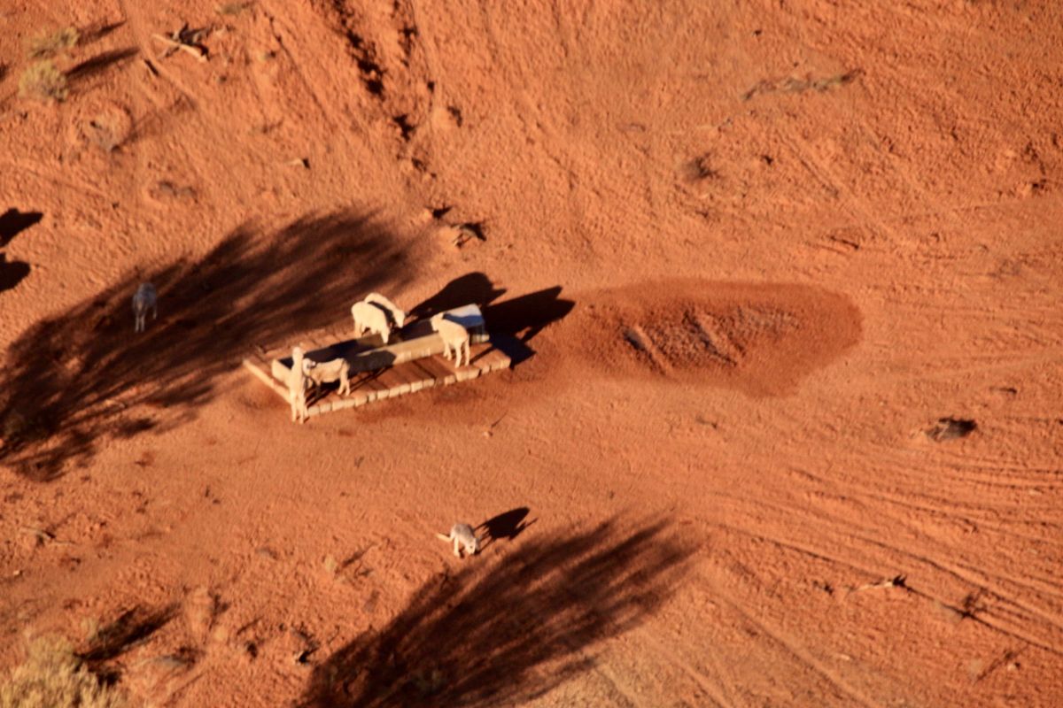 Pimpara Lake Station