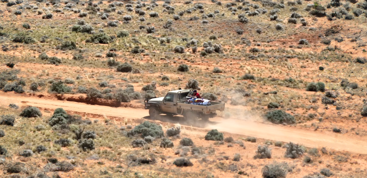 A Close Shave: Ash's Story